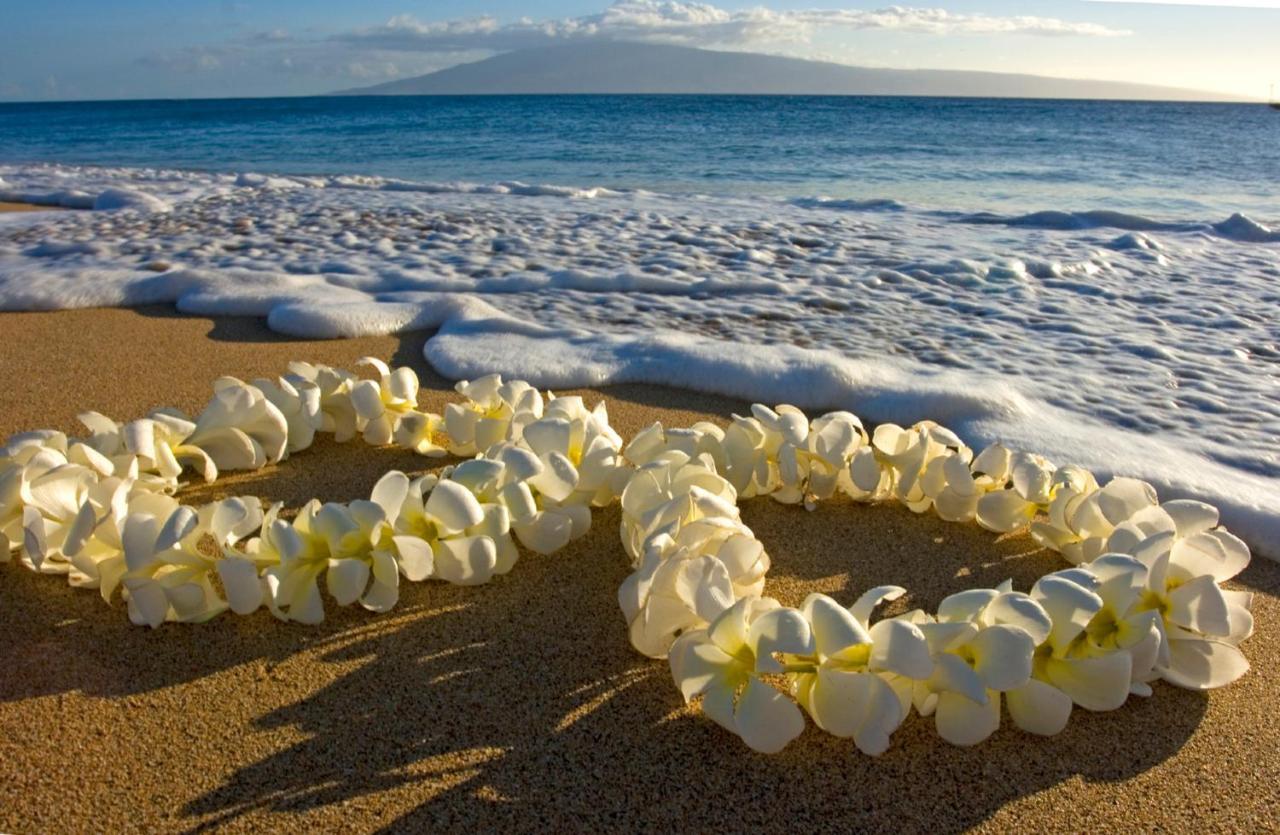 Stylish Waikiki Gem With Ocean View And Free Parking! *